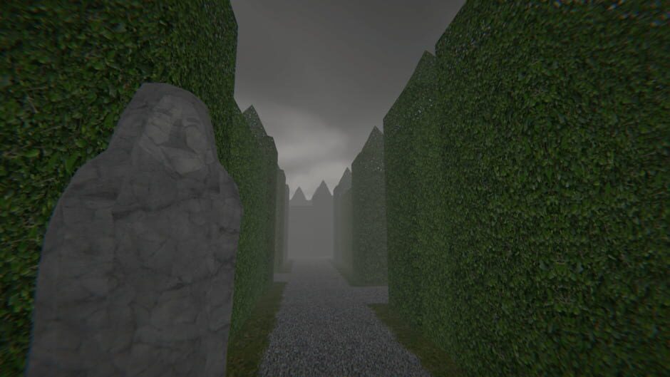 Capture de Project Maze