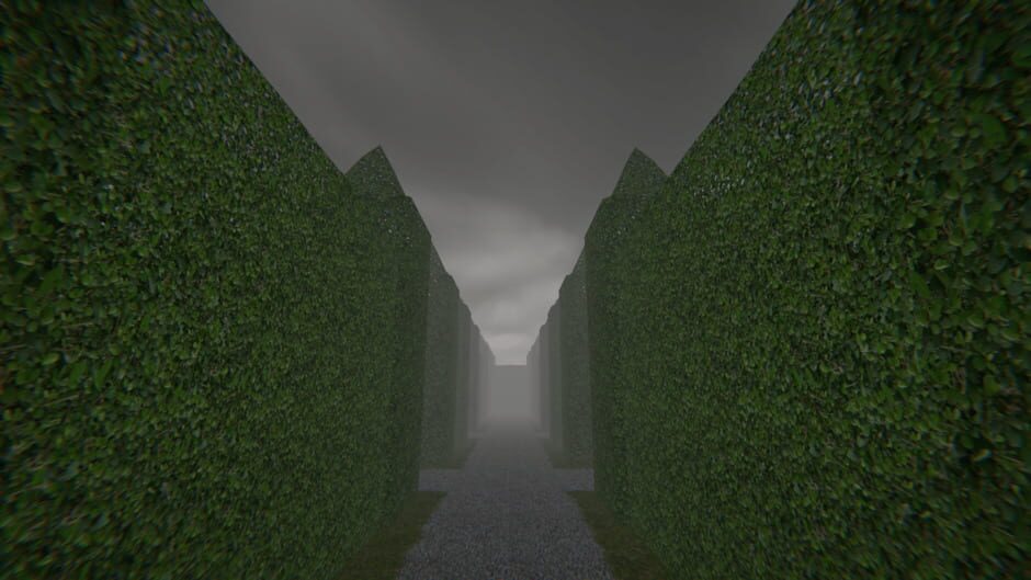 Capture de Project Maze
