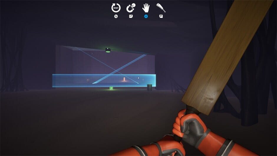 Capture de Puzzle Parasite