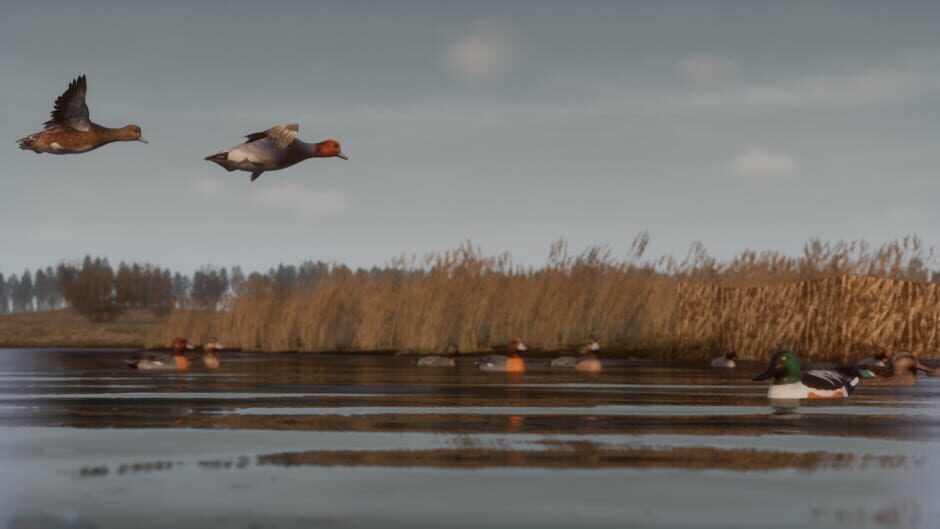 Capture de Bult: Hunting Simulator