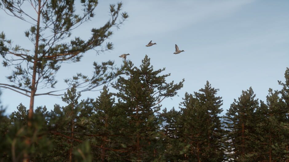 Capture de Bult: Hunting Simulator