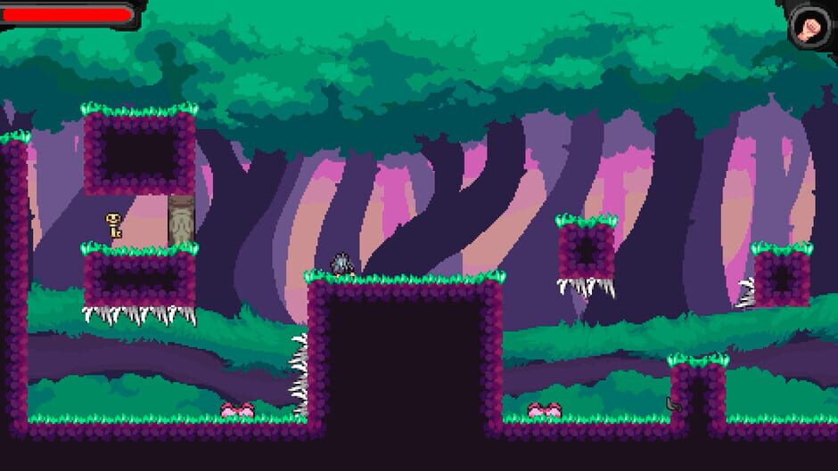 Capture de Magic Tiny Lands
