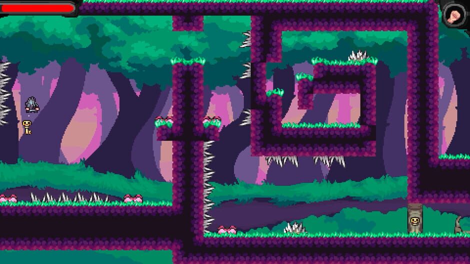 Capture de Magic Tiny Lands