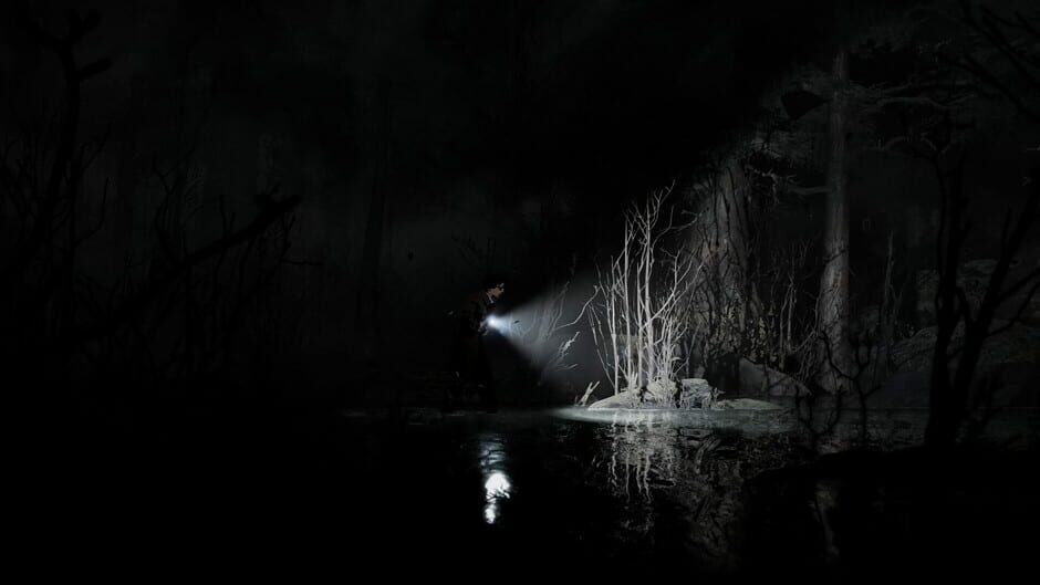 Capture de Silver Pines