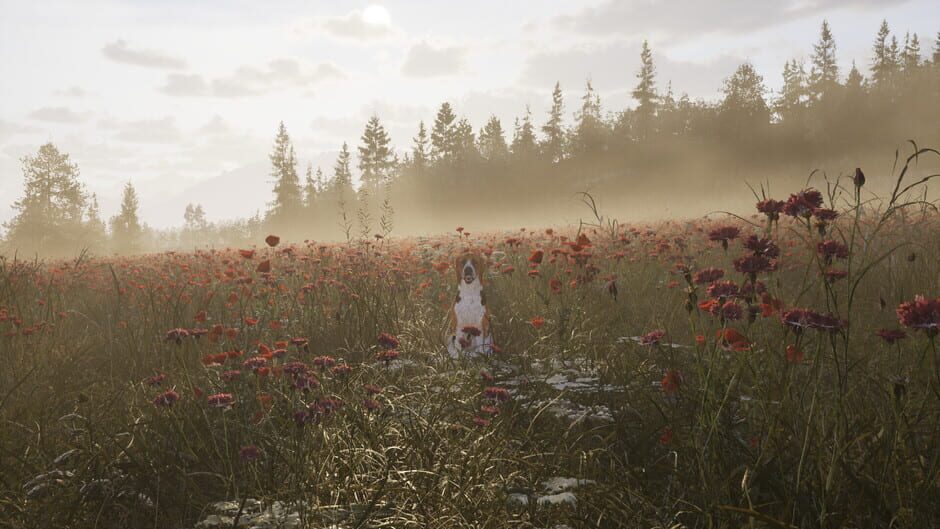 Capture de Way of the Hunter 2