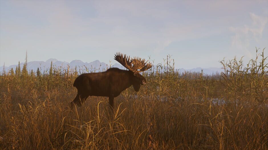 Capture de Way of the Hunter 2
