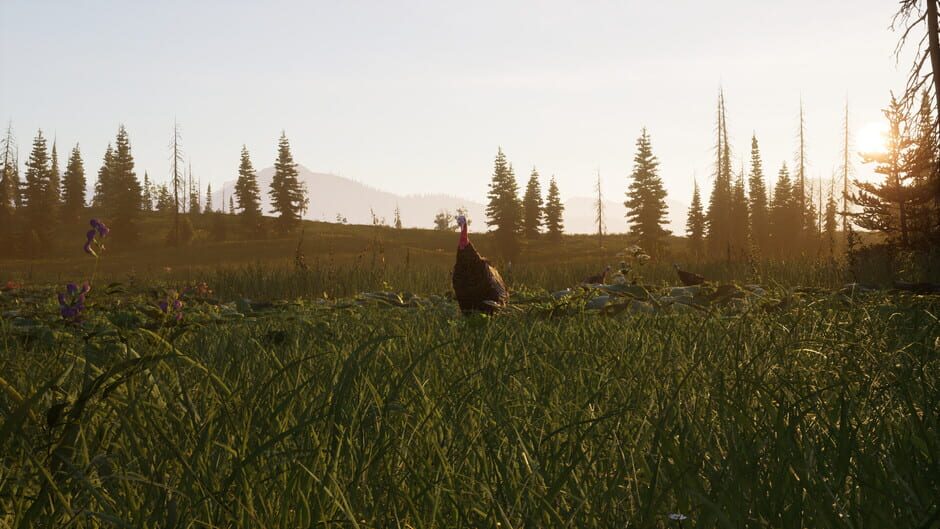 Capture de Way of the Hunter 2