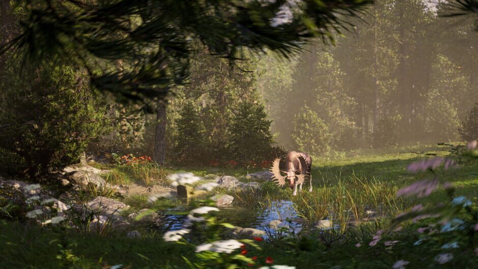 Capture de Way of the Hunter 2