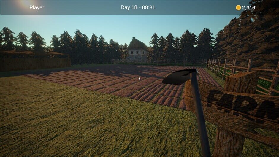 Capture de Medieval Life Simulator