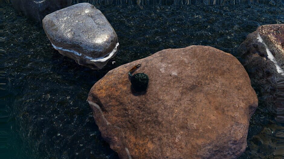 Capture de Strong Crab