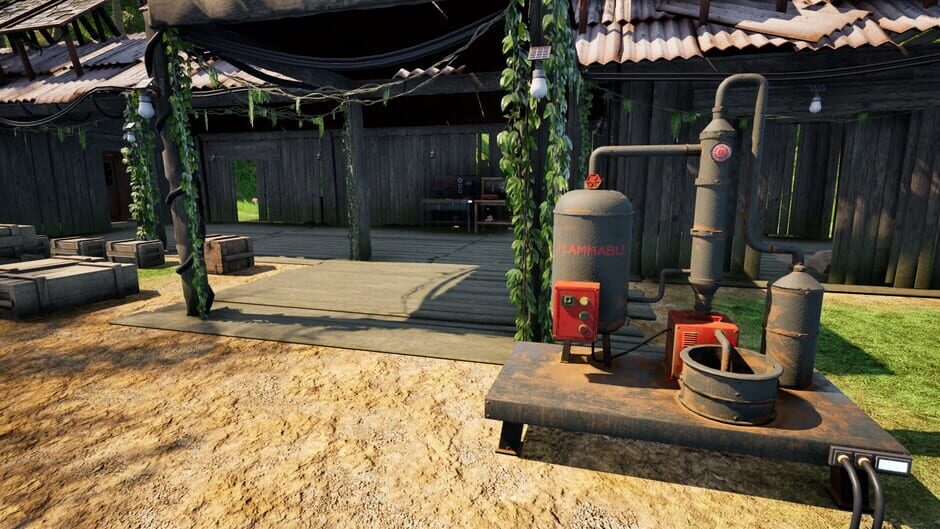 Capture de Dig Island