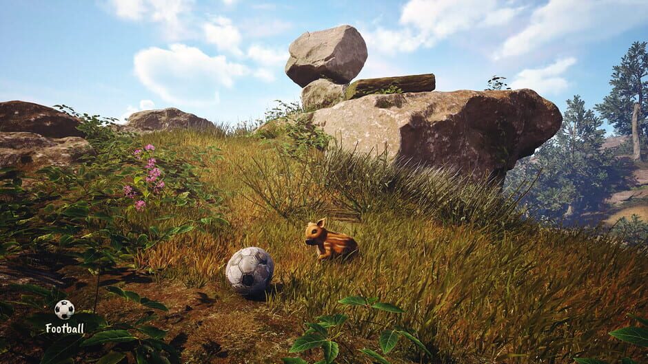 Capture d’Adorable Adventures
