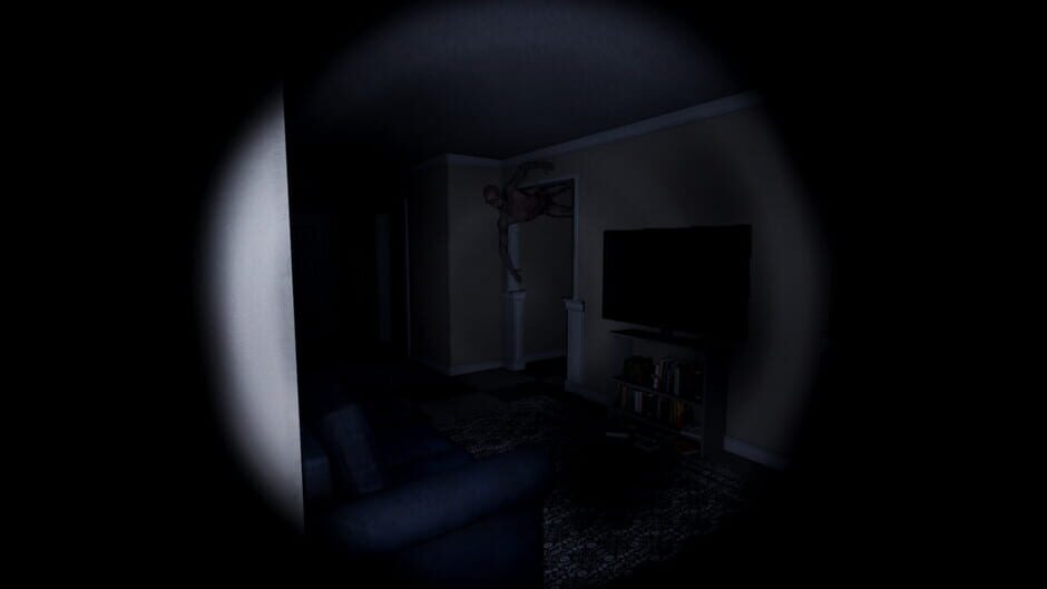 Capture de The Anomaly Experiment