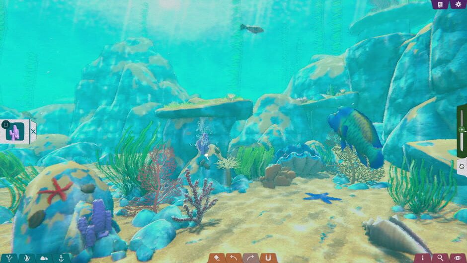 Capture de Turquoise