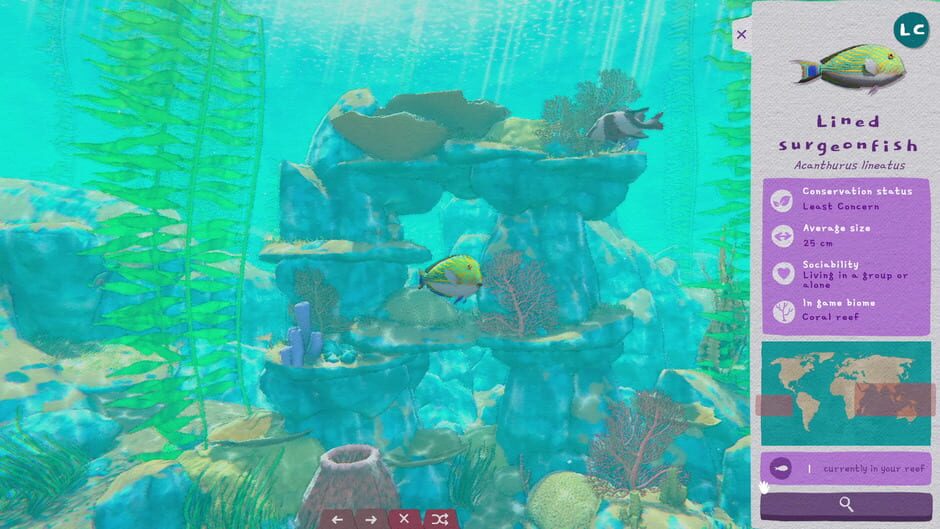 Capture de Turquoise