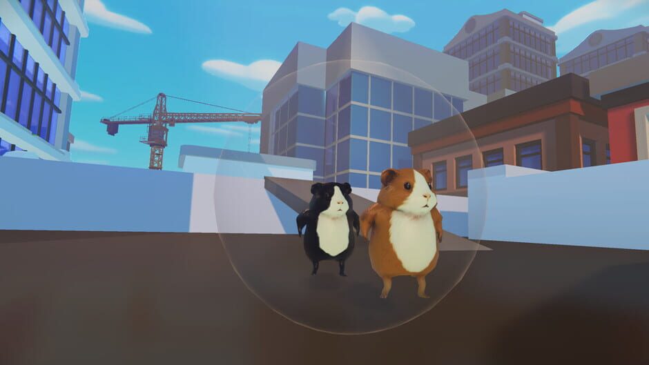 Capture de Guinea Pig Runaway Together