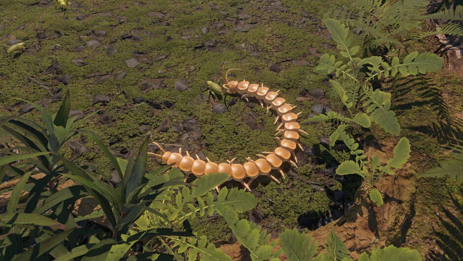 Capture de Centipede Simulator