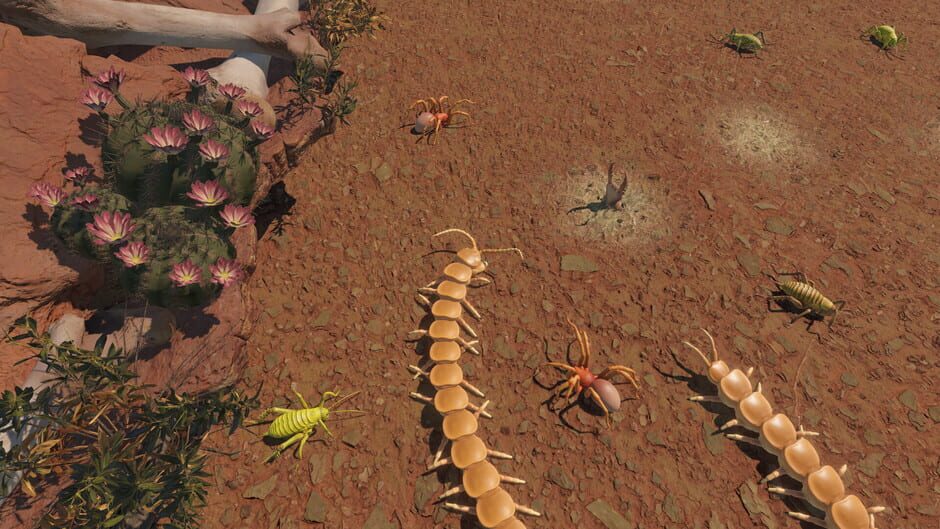 Capture de Centipede Simulator