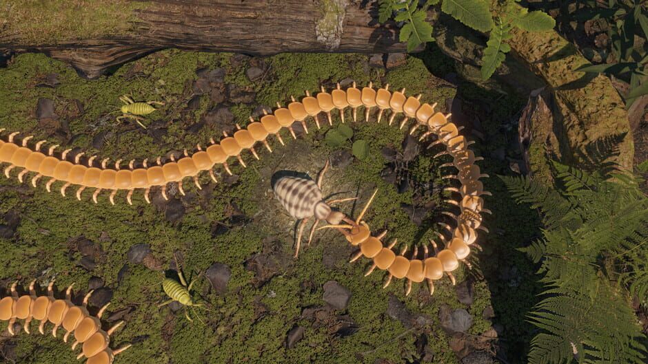 Capture de Centipede Simulator