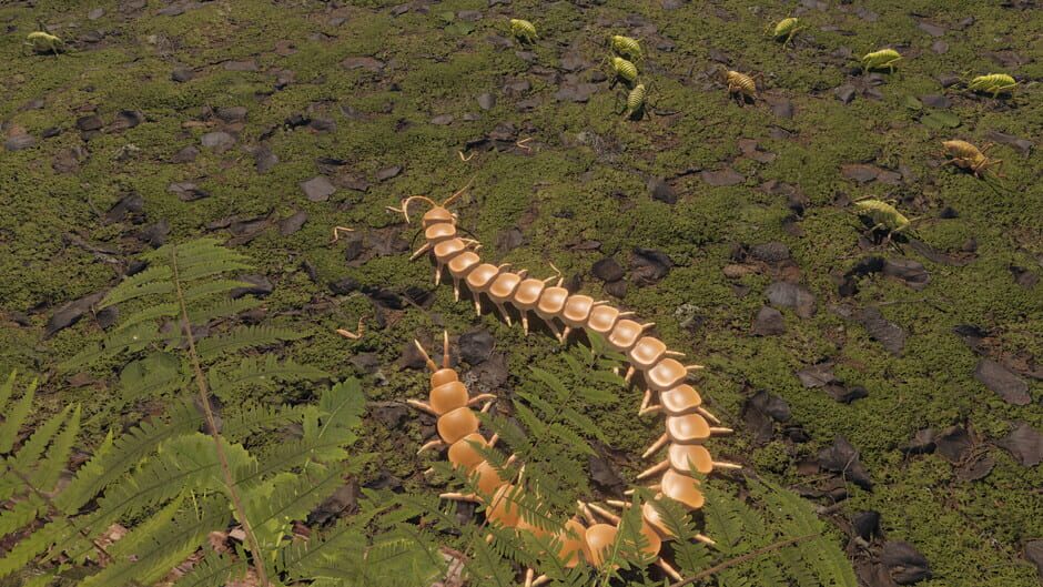 Capture de Centipede Simulator