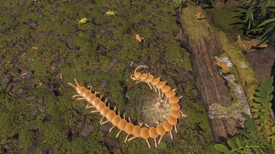 Capture de Centipede Simulator