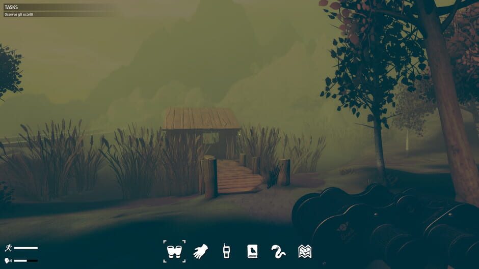 Capture de Birds Watching