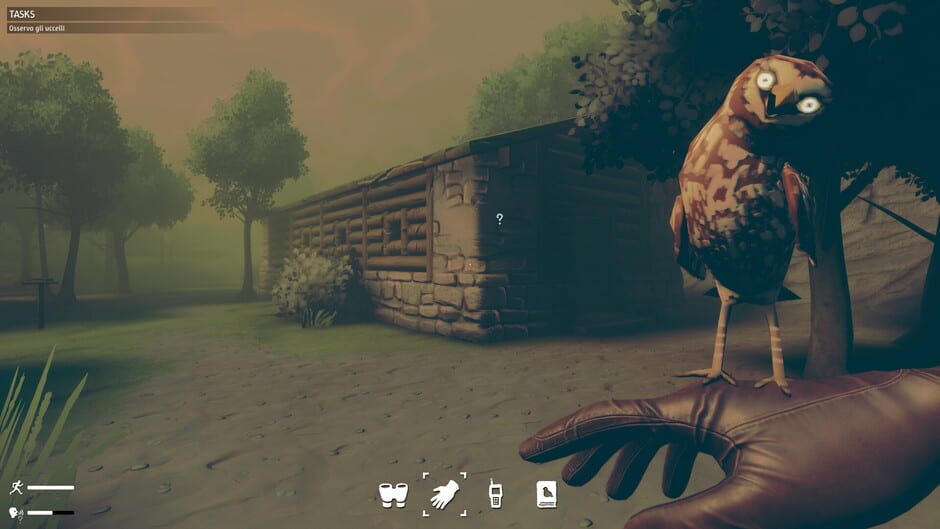 Capture de Birds Watching