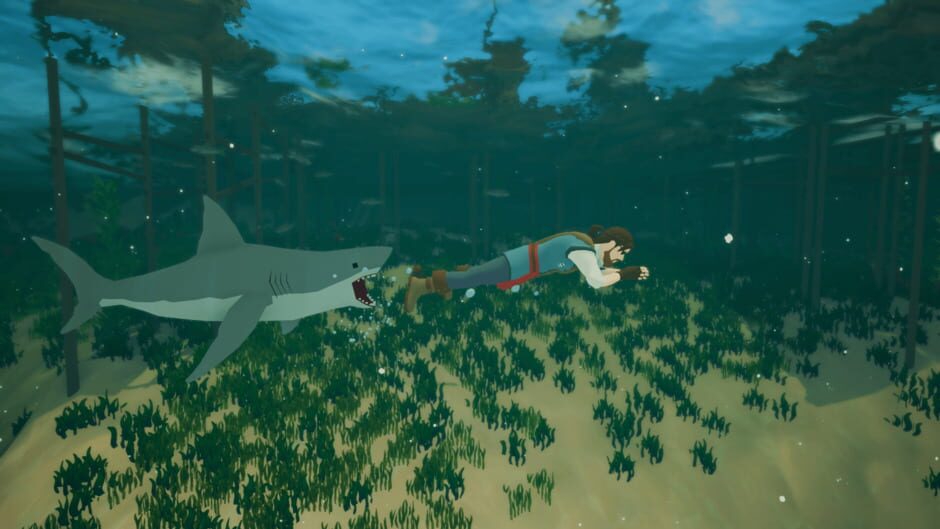 Capture de Captain Bones