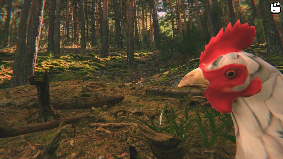 Capture de Catch the Chiken