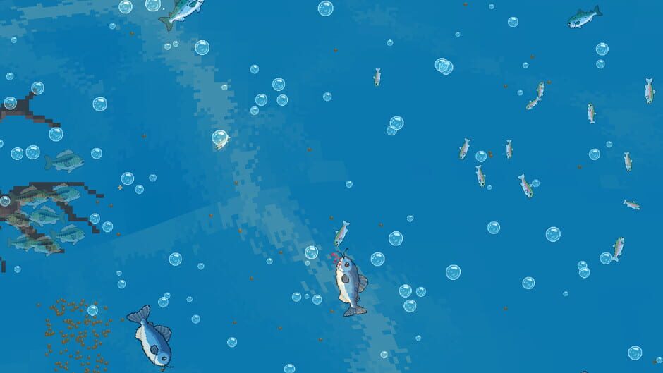 Capture de FishPond