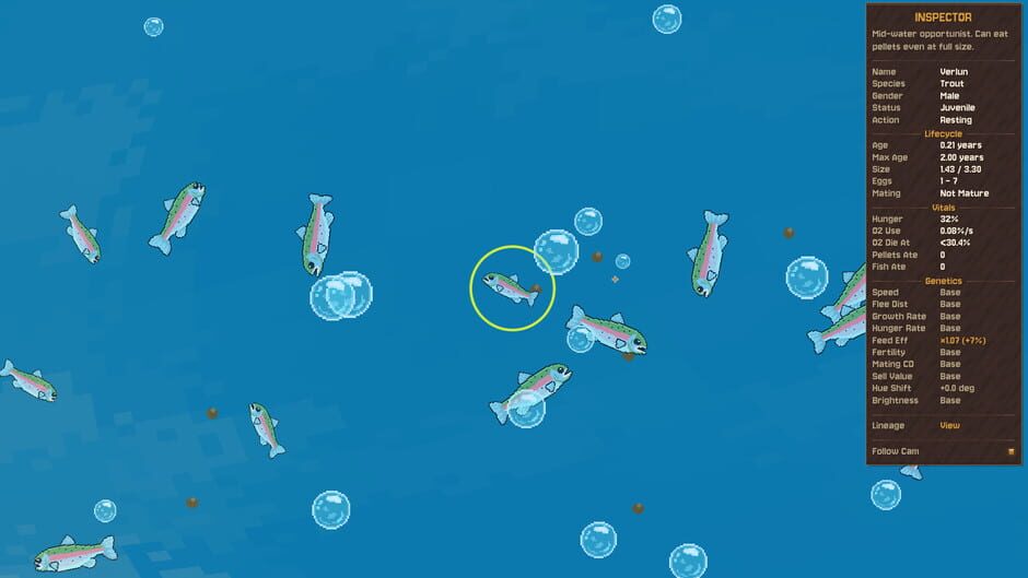 Capture de FishPond