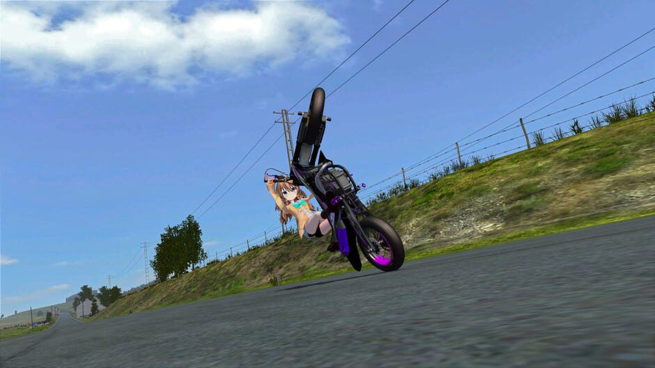 Capture de MX Bikes