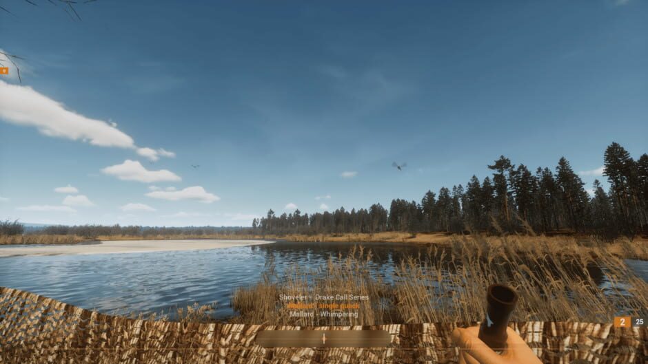 Capture de Bult: Hunting Simulator