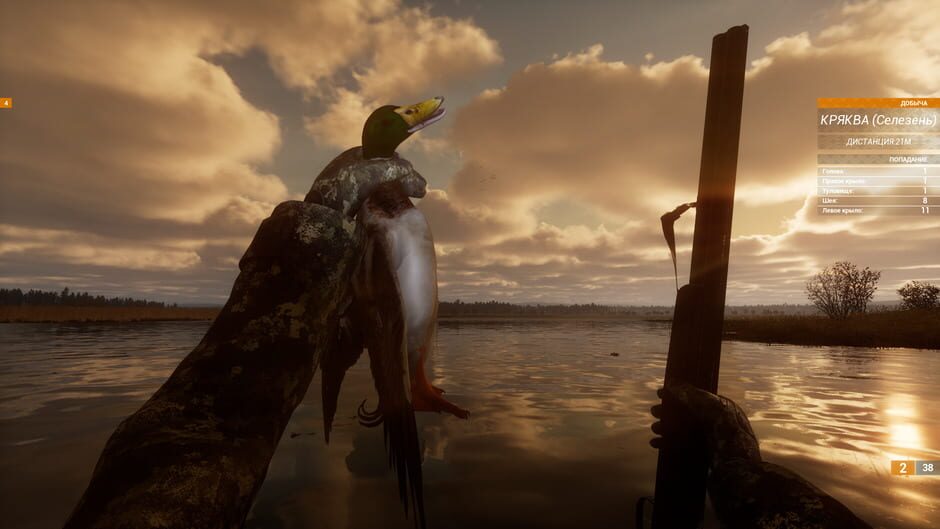 Capture de Bult: Hunting Simulator