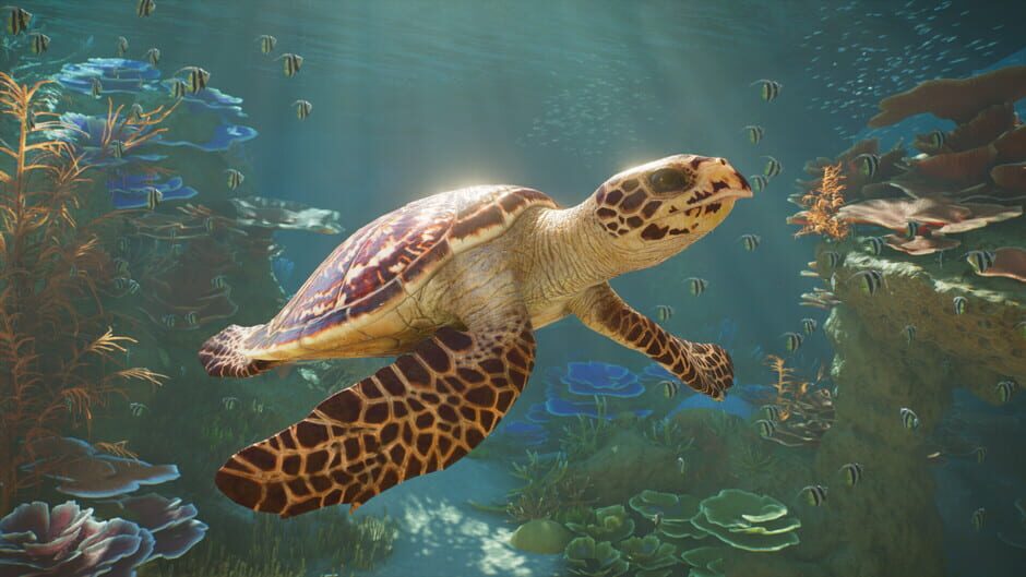 Capture de Planet Zoo 2