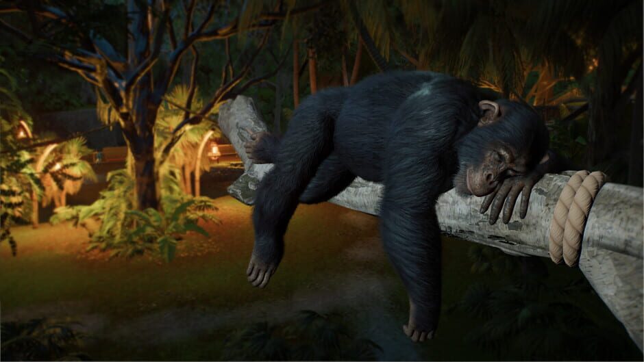 Capture de Planet Zoo 2