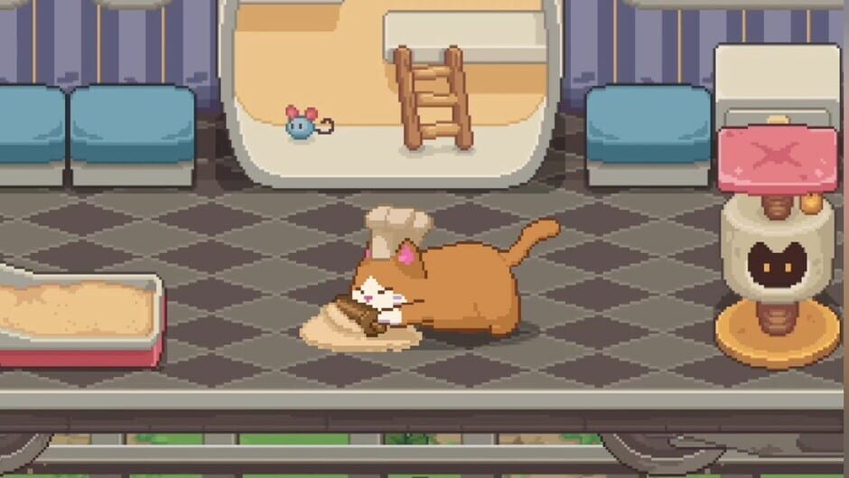 Capture de Neko Station