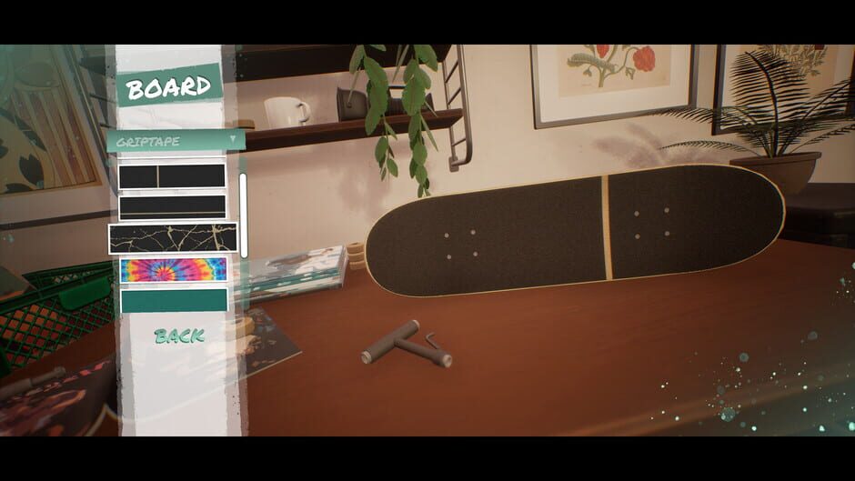 Capture de Skatesterre