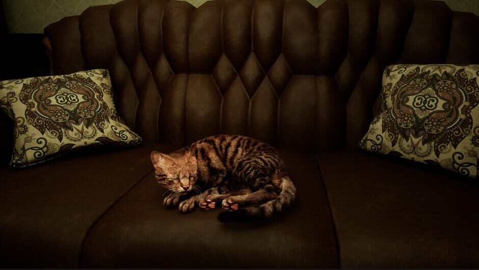 Capture de Meowmories