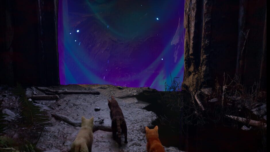 Capture de Meowmories