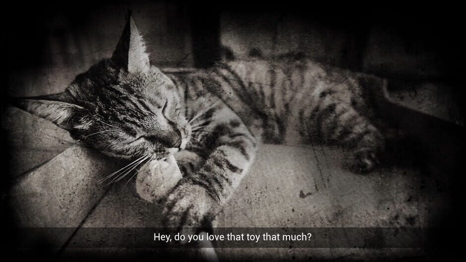 Capture de Meowmories