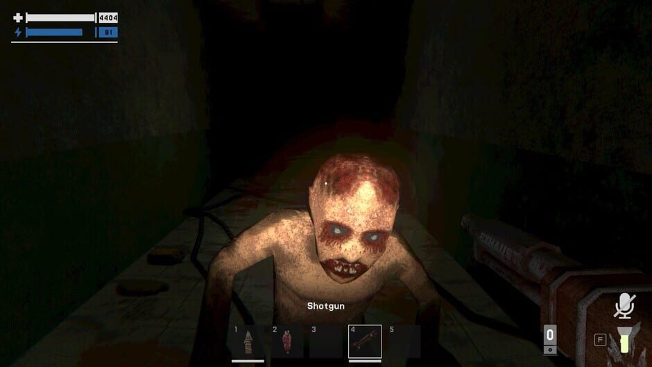 Capture de Holey