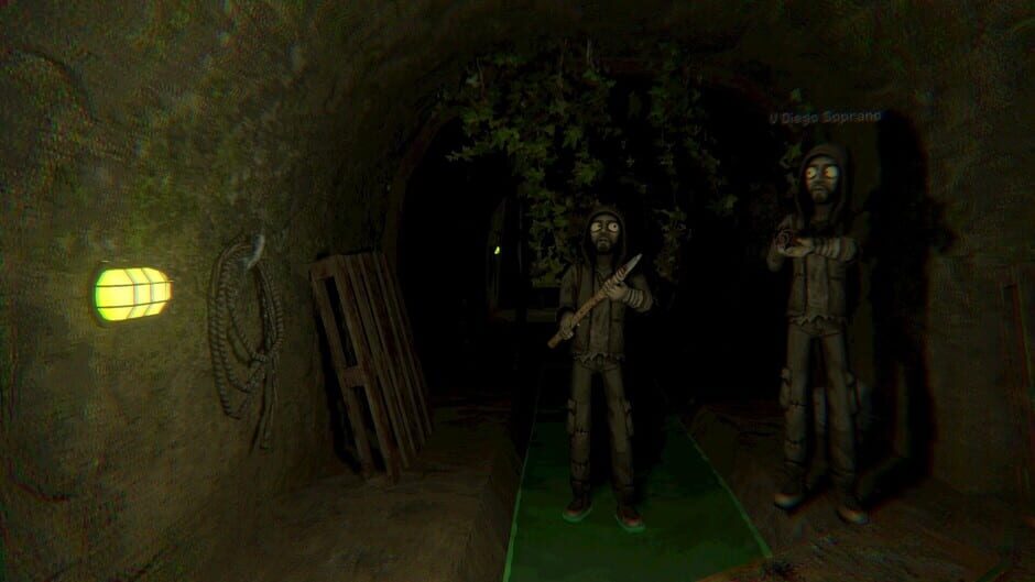 Capture de Holey