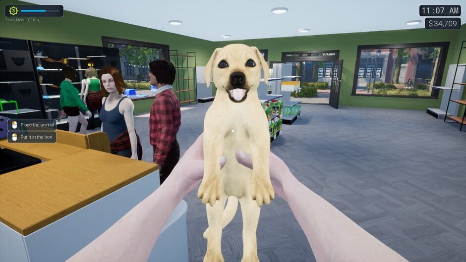 Capture d’Exotica 2: Pet Shop Simulator