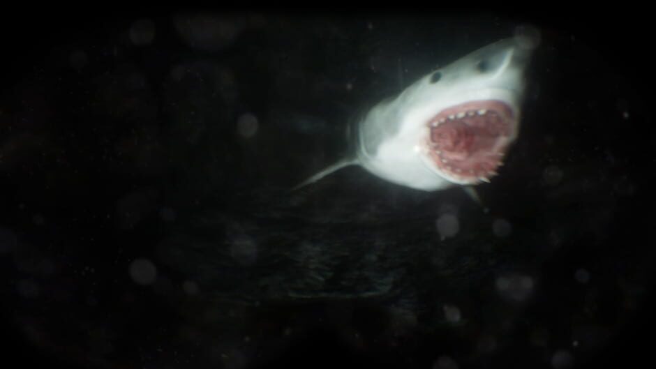 Capture de Scary Cave Diving