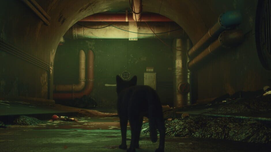 Capture de DarkRay