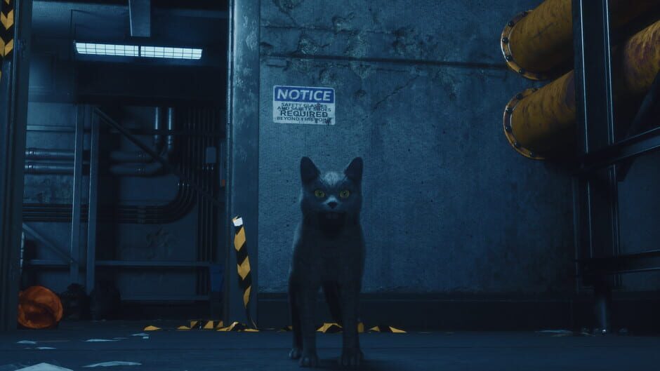 Capture de DarkRay