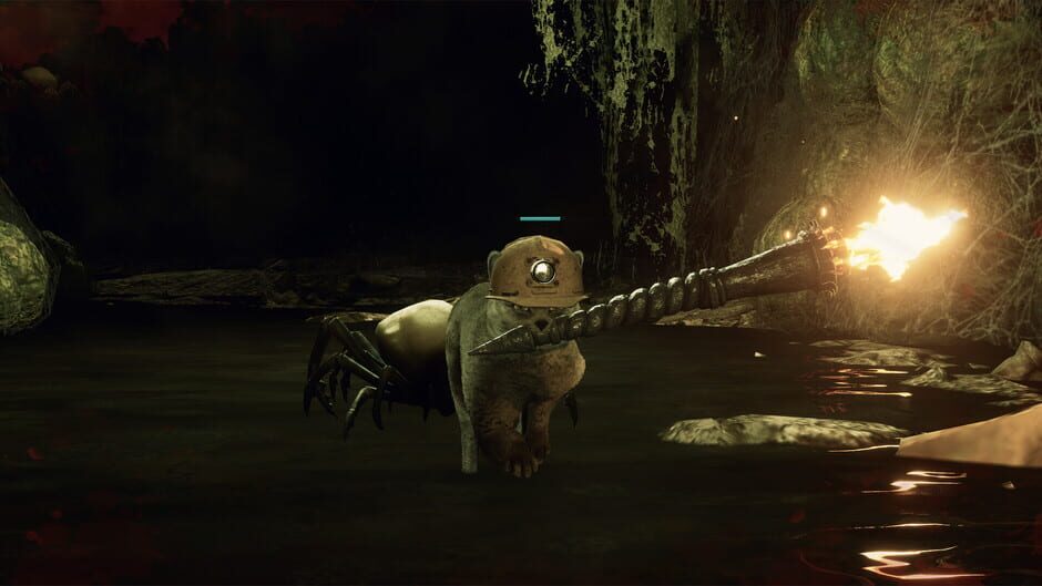 Capture de DarkRay