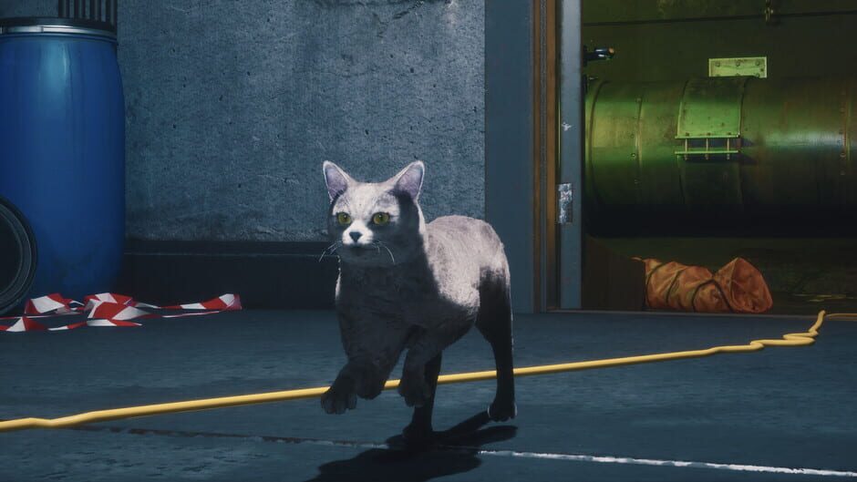 Capture de DarkRay