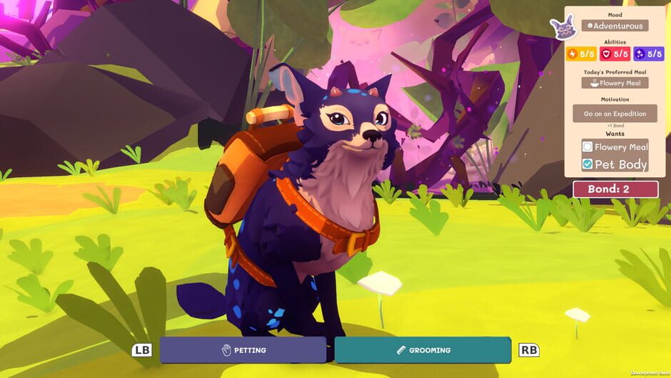 Capture de Stay: Your Forever Pet!